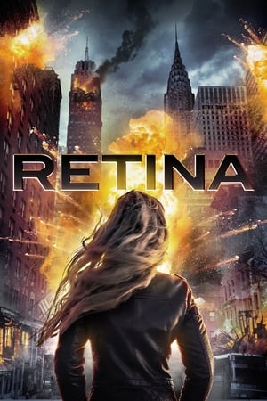 Retina 2017 Hindi Dual Audio 480p WebRip 300MB